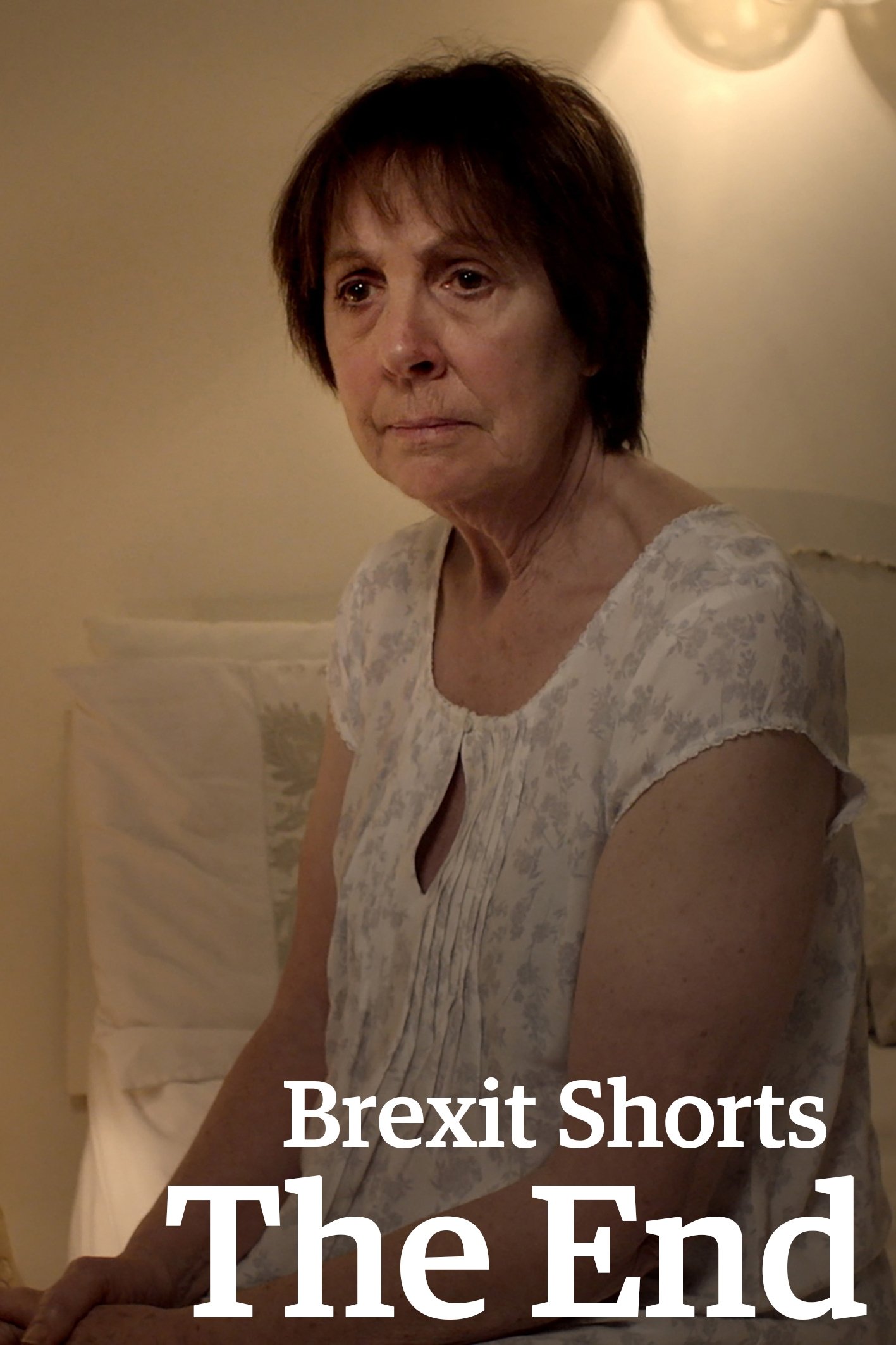 Постер Brexit Shorts: The End